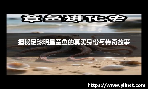 ballbet贝博bb艾弗森