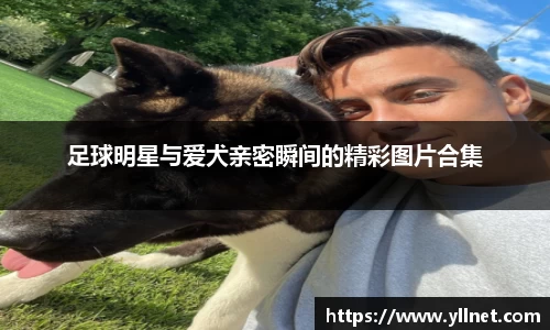 足球明星与爱犬亲密瞬间的精彩图片合集